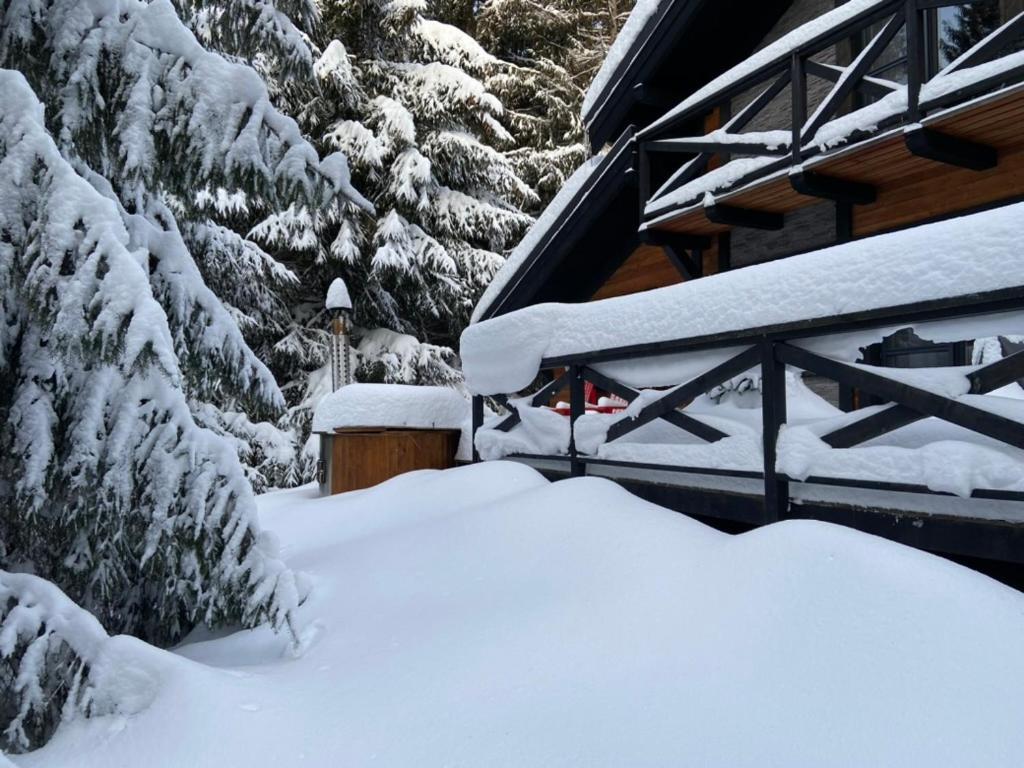 Chalet Rackova Dolina 普利比利那 外观 照片
