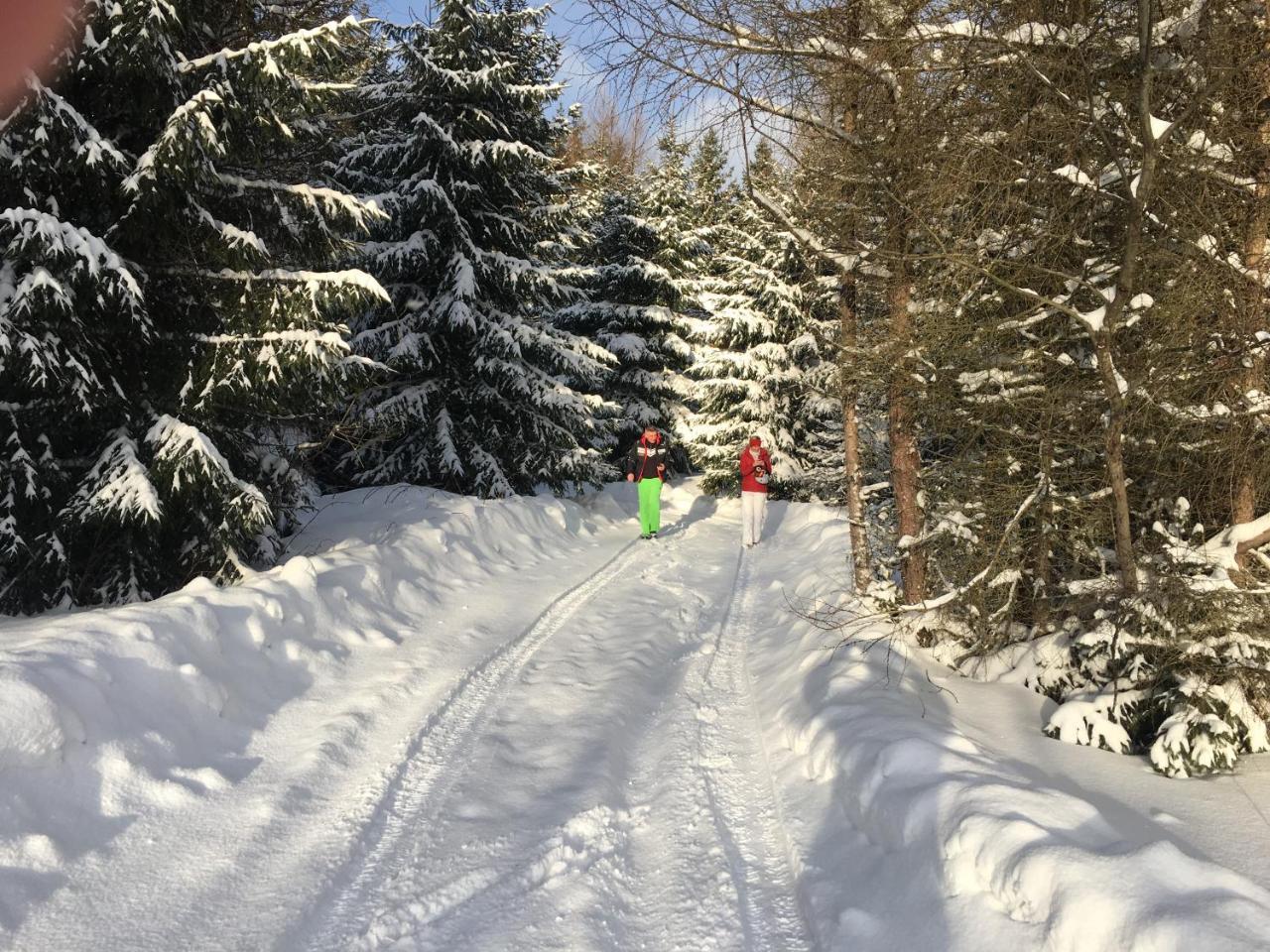 Chalet Rackova Dolina 普利比利那 外观 照片