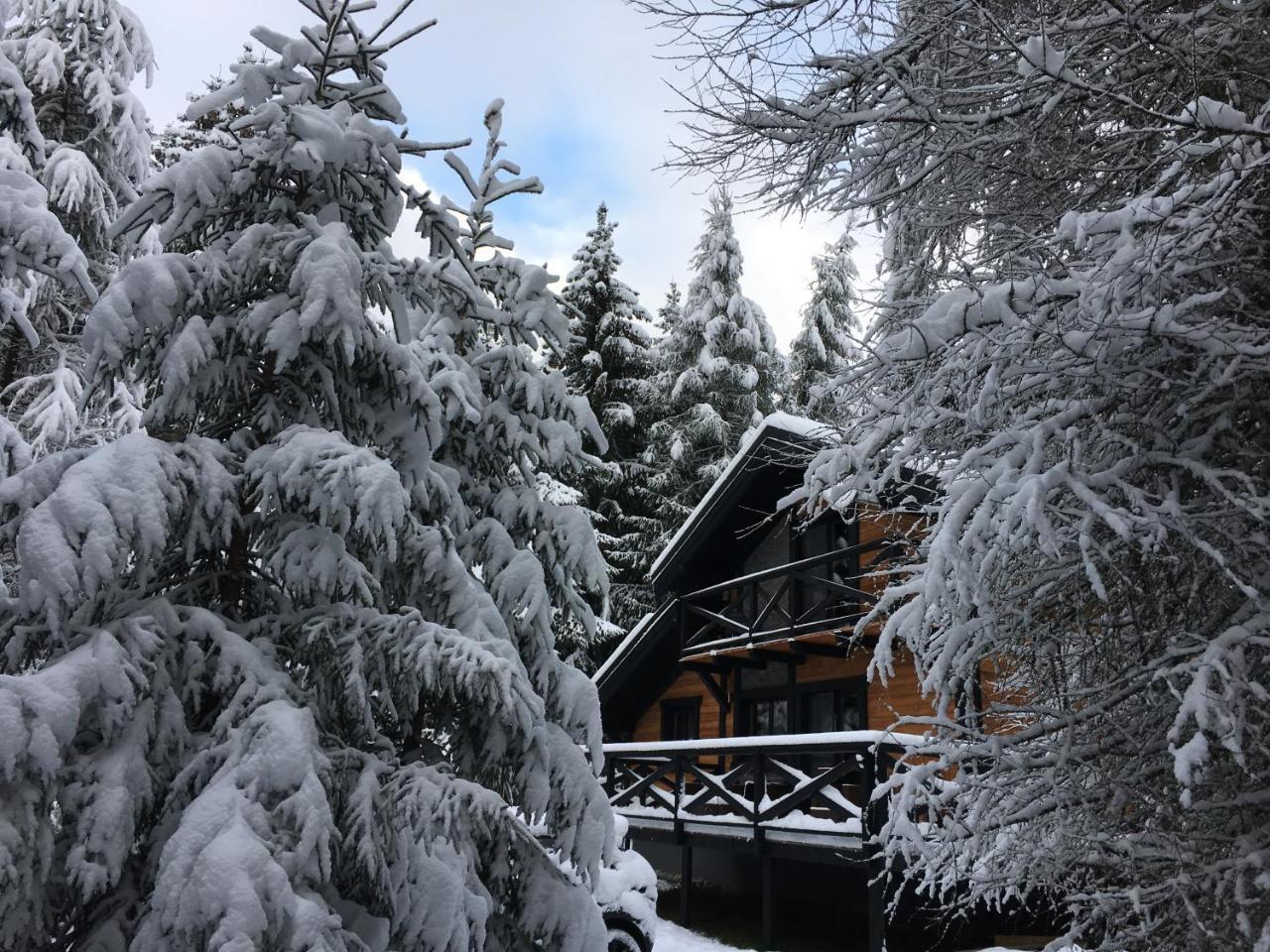 Chalet Rackova Dolina 普利比利那 外观 照片