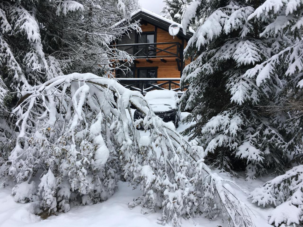 Chalet Rackova Dolina 普利比利那 外观 照片