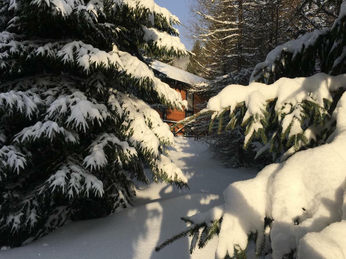 Chalet Rackova Dolina 普利比利那 外观 照片